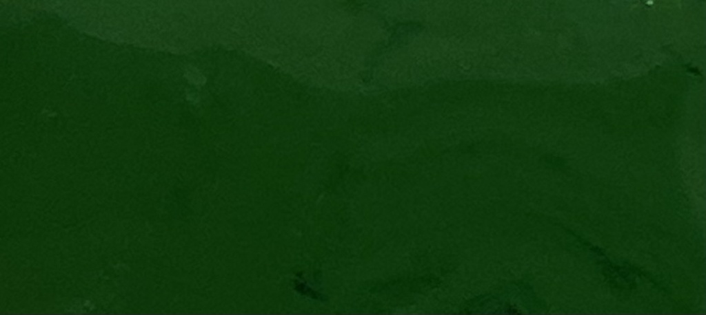 Rockinghaminvihreä pellavaöljymaali 1 l